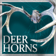Deer Horns - 3DOcean Item for Sale