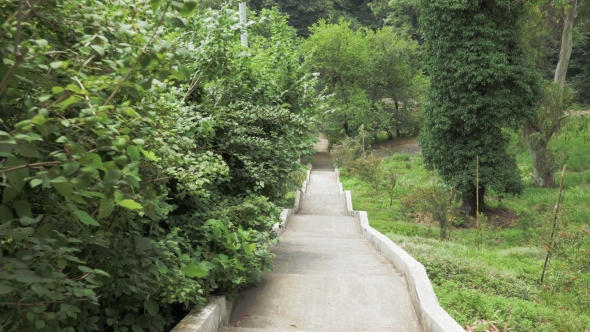 Stairs in One of the Biggest Botanical Park - Batumi, Georgia