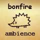 Bonfire