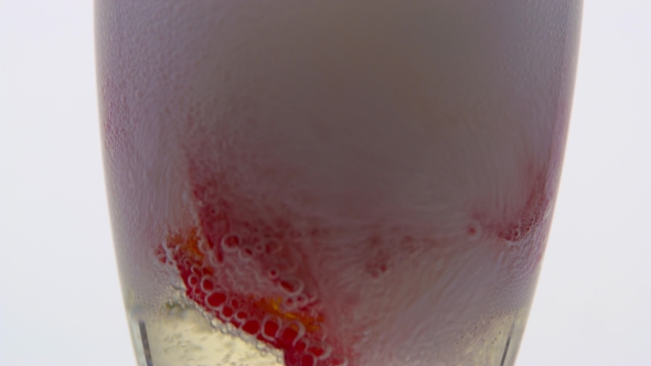 Rosebud in a Glass Fills with Champagne. White Background.