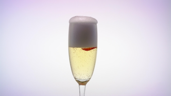Glass of Champagne and a Rosebud on White Background