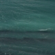 Water Waves in the Ocean - VideoHive Item for Sale