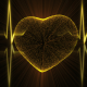 Heart with Heartbeat Cardiogram - VideoHive Item for Sale