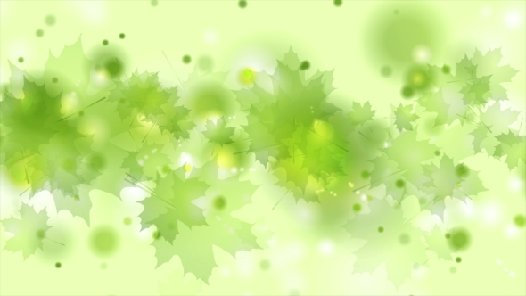 Light Green Shiny Summer Leaves Abstract 