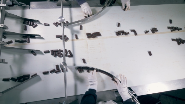 Two Pair of Hands Are Sorting Chocolate Candies on the Conveyor Belt