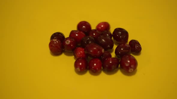 Close Up Pan of Cranberries on a Yellow Backdrop