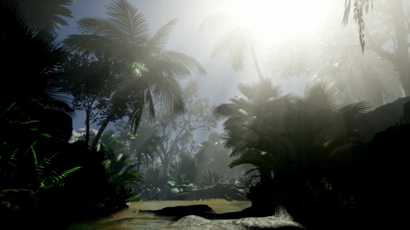 Sunset Beams Through Palm Trees alt