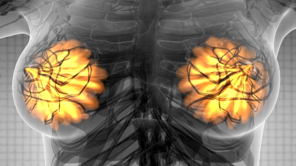 Human Body with Visible Glow Mammary Gland alt