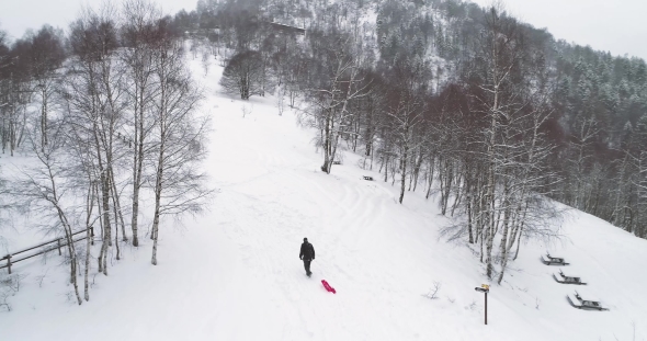 Aerial Follow Man Father Pulling Red Bobsled on Snowy Rise in Winter Dad Bringing Bobsleigh on Snow