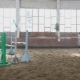 Horse Girl Rider Jump Over Obstacle in - VideoHive Item for Sale