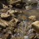 Fresh Creek Water in Forest - VideoHive Item for Sale
