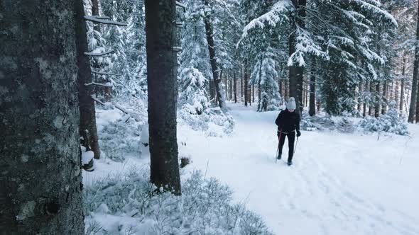 Young Woman Walking with Skiis on Snowy Winter Day