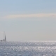 Sailboat on the Horizon in the Sea - VideoHive Item for Sale