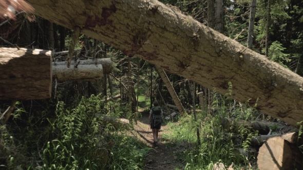 Young Girl Walks in the Mountain with Bakpack - Georgia National Park