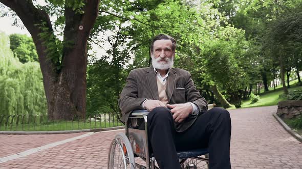 Bearded Retired Man in Wheelchair which Posing on Camera in Beautiful Green Park