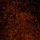 Thousands of Fire Sparks Overlay - VideoHive Item for Sale