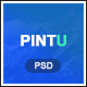 Pintu - Portfolio PSD template - ThemeForest Item for Sale