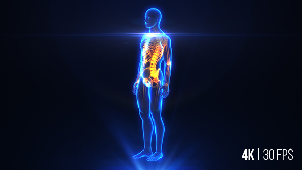 Medical Animation X-Ray Body Scan 4K