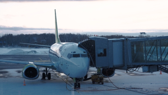 View of Plane Connected with Airbridge