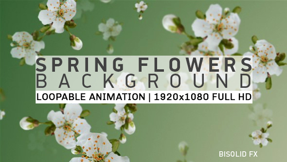 Spring Flowers Background