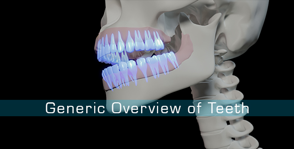 Generic Overview Of Teeth alt