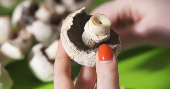 Cleaning Wild Mushroom with Kitchen Knife