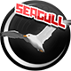 Seagulls