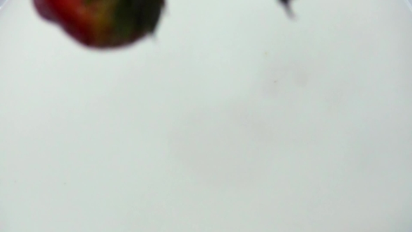 Fresh Strawberries Falling Into Cream in alt