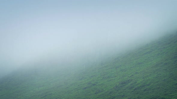 Misty Hillside In The Rain