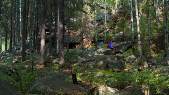 A Girl Walks in the Woods