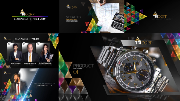3D Triangle Concept Corporate Profile