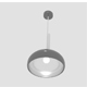 Rock Chromed Metal Ceiling Light - 3DOcean Item for Sale
