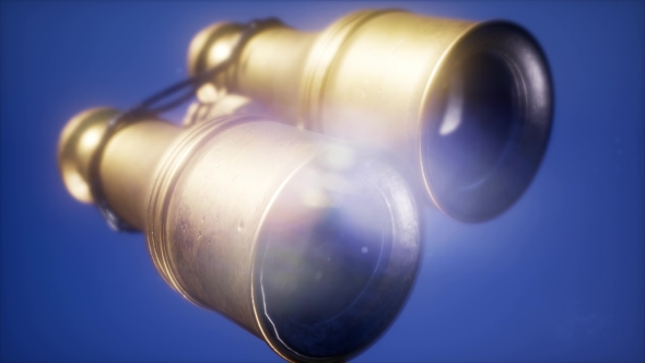 Flying Old Military Binoculars alt