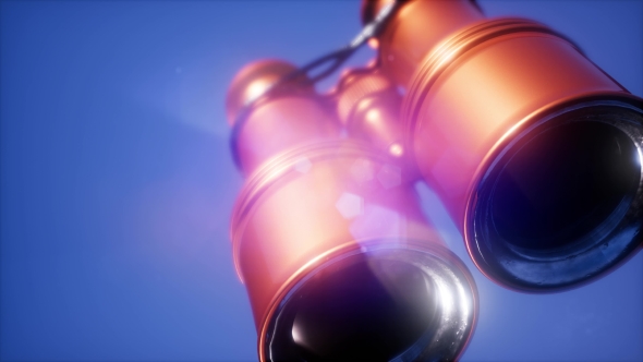 Flying Old Military Binoculars alt