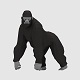 Gorillas - 3DOcean Item for Sale
