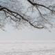 Snow-covered Bay with Wood - VideoHive Item for Sale