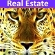 Real Estate Background