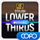 Stylish Lower Thirds - VideoHive Item for Sale