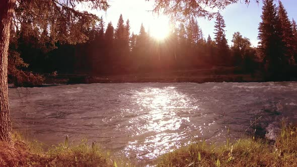 Meadow at Mountain River Bank