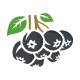 Aronia Berry Logo - GraphicRiver Item for Sale
