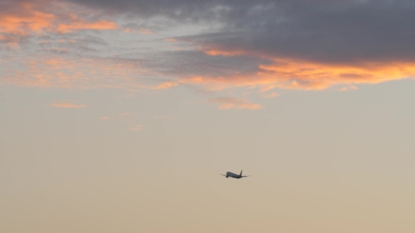 Airplane Flying in the Evening Sky