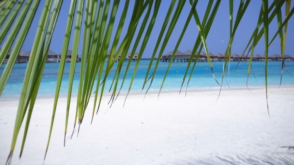 Tropical Travel Destination with Water Bungalows Through Palm Tree Leaves at Maldivian Island