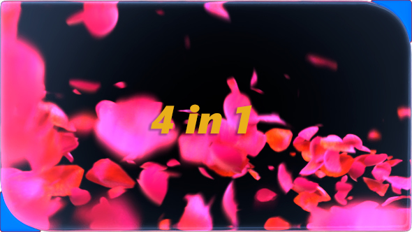 Pink Petals Transition alt