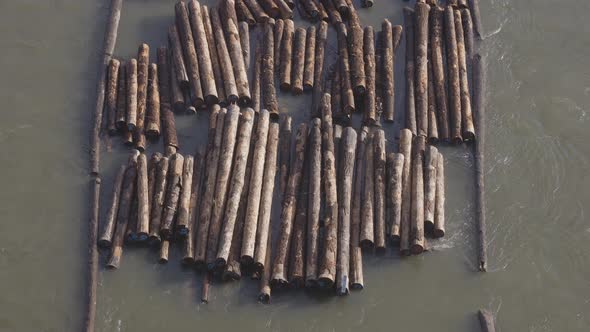 Logs Pulled By a Tugboat on Fraser River