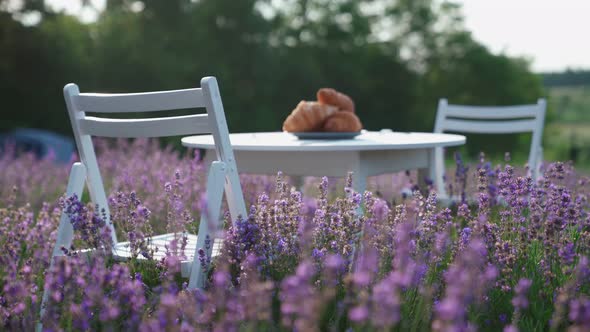 Croissants on Table in Lavender Field