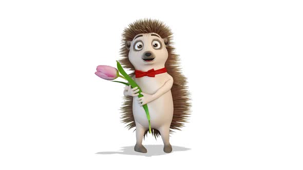 Hedgehog Dancing With A Flower on White Background