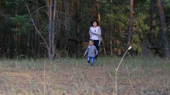 Mother and Child Are Running Around in a Pine Forest in a , Having Fun, an Active Family