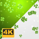 St Patrick's Day Backgrounds 4K - VideoHive Item for Sale