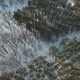 Flight Over Snowy Trees. - VideoHive Item for Sale