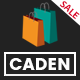 Caden - Mega Store Responsive WordPress Theme - ThemeForest Item for Sale
